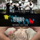 등대울펜션 | [일상블로그] ✏️26.02.16 ~ 26.02.22✏️