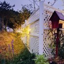 아드레이 이미지