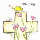 [복음묵상]08.04(금)한상우 바오로신부님 이미지