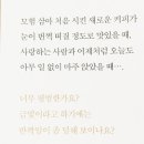 페리테일 이미지