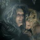 숲속으로 이미지