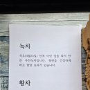 가야다원 | 제주 비올때 가볼만한곳 추천, 서귀다원 내돈내산 후기 녹차밭 다도 힐링코스