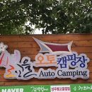별고을 오토캠핑장 이미지