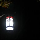 남산 산책로 이미지