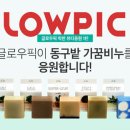 글로우프로젝트