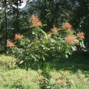 오다가다 이미지