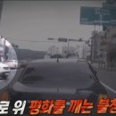 저단31 이미지
