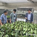 지인스마트팜 이미지