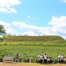 연천 호로고루 이미지