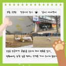 평촌나무동물병원 이미지