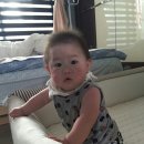 전준