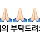 [SSUL] SI 업체의 고객이 되어보았다. (후기)