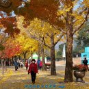 문경새재 도립공원 이미지