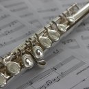 플룻 (고급) 이미지