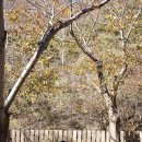 보현민박 이미지