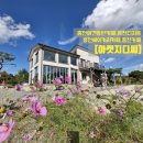 아홉사리로 | [마켓지디씨]홍천카페,홍천대형카페,홍천애견동반카페,홍천베이커리카페,홍천여행길,코스모스와 파란...