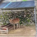 춘천시청소년수련관 | 춘천 아이와 가 볼 만한 곳 육림랜드에서 과거로 시간 여행 떠나기