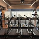 레이디 휘트니스 이미지