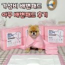 한팩 | 강아지 가성비 배변패드 추천 아꾸 배변패드는 한팩에 4900원 후기