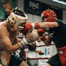 타이슨짐 이미지