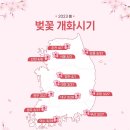 🌸2023 벚꽃 개화 지도 등장🌸 이미지