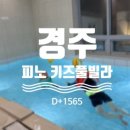 피노 키즈풀빌라 네이버블로그