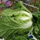 진선농장 이미지