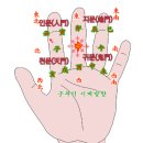 토인진미 네이버블로그