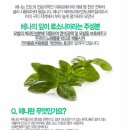 오즈헤어메이크업 이미지