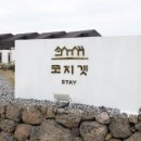 스테이두모 이미지