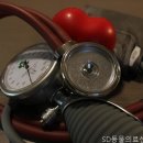 현대동물의료센터 네이버블로그