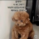 옷장이모 이미지