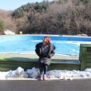 유토피아 유스호스텔 이미지