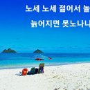 노세노세 이미지