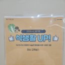 청년 중장년 1인가구의 건강한 식습관을 위한 강의(강좌)프로그램_식생활up!