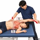 대흉근·소흉근 패시브 스트레칭 방법 굽은 어깨와 가슴 근육 긴장, 해부학적으로 이해하기 이미지
