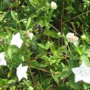 이정자농원 이미지