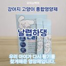 우리고양이 | 강아지 고양이 종합영양제 날렵하댕 실제 후기, 우리 아이가 다시 활기를 찾았어요