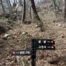 우두산 - 의상봉부터 Y자 출렁다리까지 완벽 코스 후기