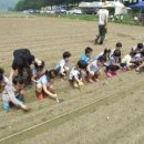 이장농장 이미지