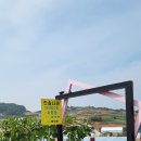 아리솔펜션 | [태안 여행] 안면도 애견동반 펜션 바다비 / 개별바베큐 / 어메니티 / 구비물품 / 매점 / 온수 수영장...
