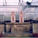 표선면-2 이미지