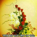 휴아일랜드 이미지