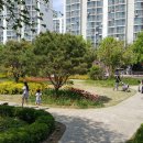 덕동산공원2 이미지