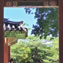 내리그집가자 이미지