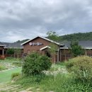 춘천산닭 산속에닭갈비 이미지