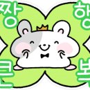거북이라떼