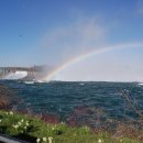 아침의 향기 이미지