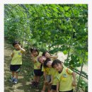 지월농장 이미지