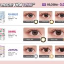 다비치 안경원 아주점 이미지